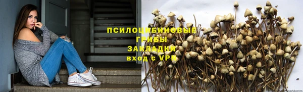 прущие грибы Алексеевка