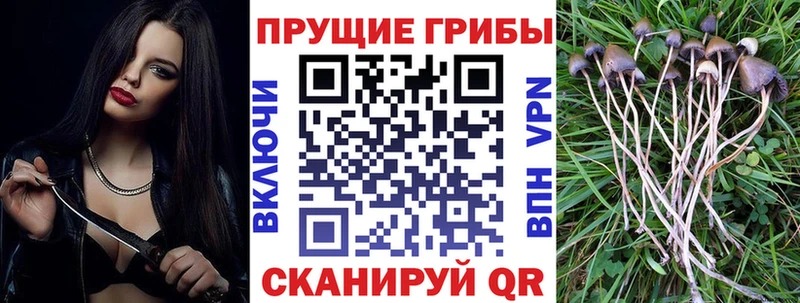 Псилоцибиновые грибы GOLDEN TEACHER ОМГ ОМГ маркетплейс Фролово где продают наркотики