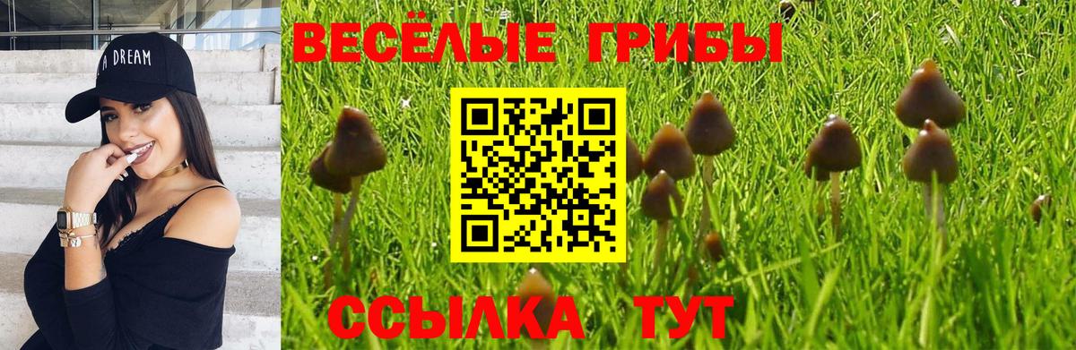 Галлюциногенные грибы мухоморы Фролово